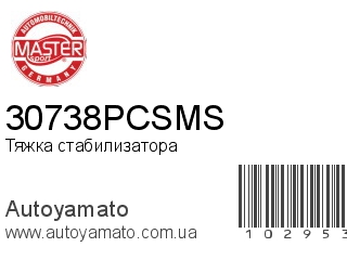 30738PCSMS (MASTER SPORT)